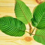 Exploring Green Kratom’s Impact on Mental Health in the Healthcare Sector